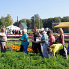15.08.11 lq s1k_preview.jpg